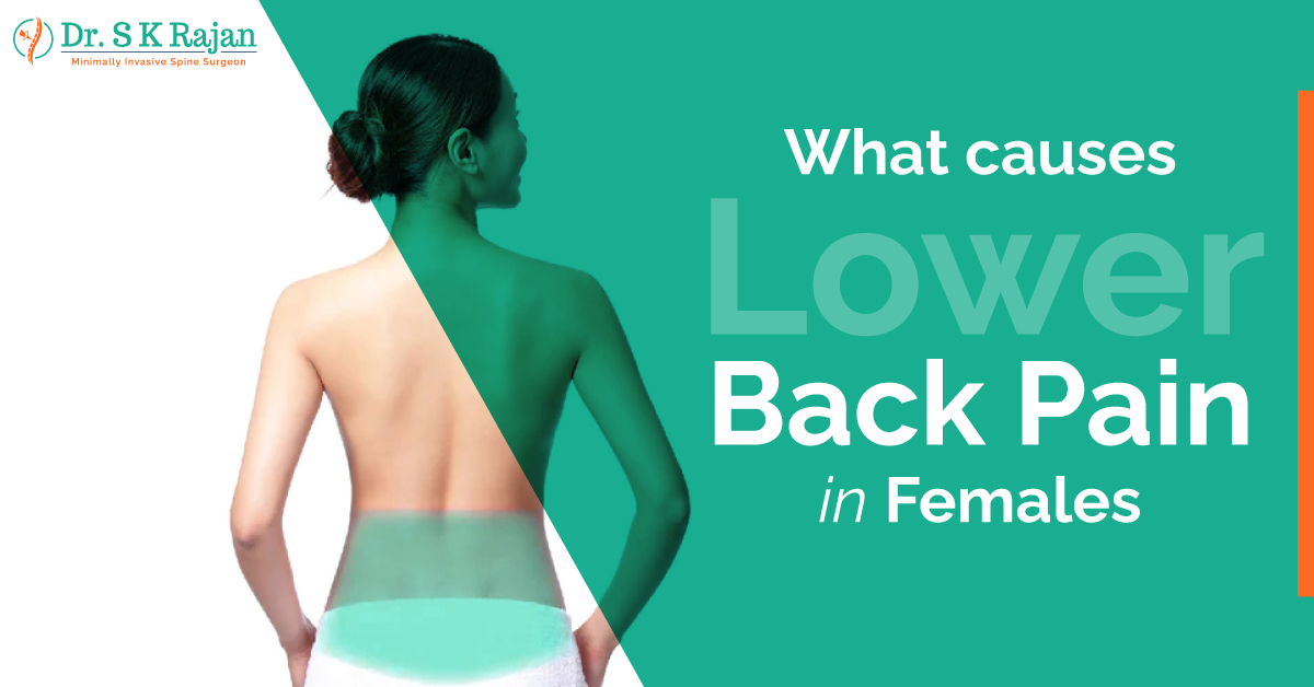 what causes lowe back pain